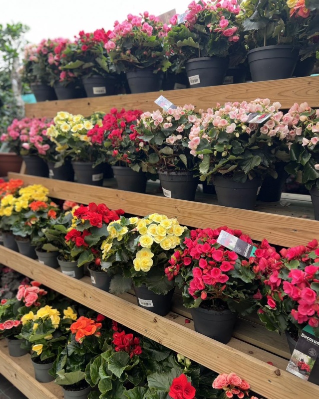 Callus Garden Centre Malta, Garden Centres Malta Shopper Lottery Malta