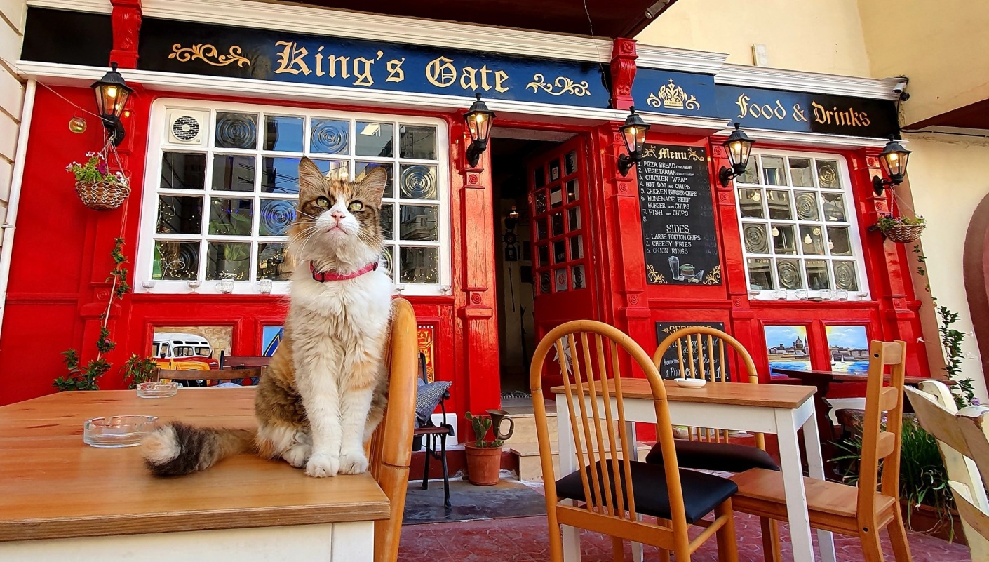 King’s Gate Gastropub Malta, Pubs & Bars Malta Shopper Lottery Malta