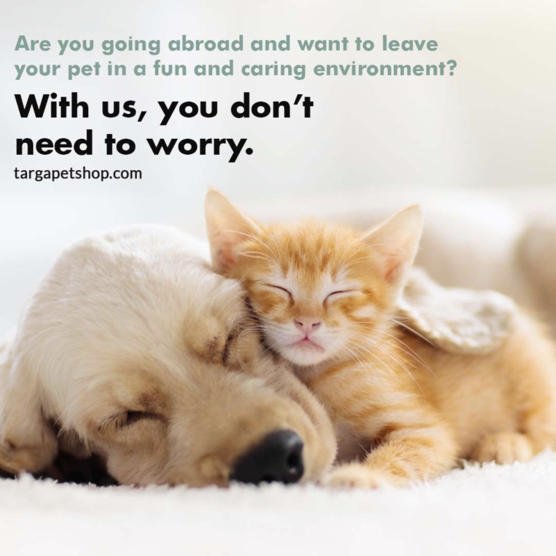 TatTarga Kennels Malta, Boarding Kennels Malta Shopper Lottery Malta