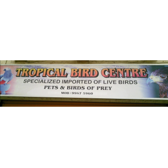 Tropical Bird Centre Malta,  Malta 