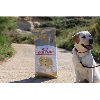 Grimana LTD Malta,  Malta 