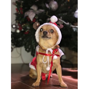 Gemma Fuentes Won in ShopperLottery Malta