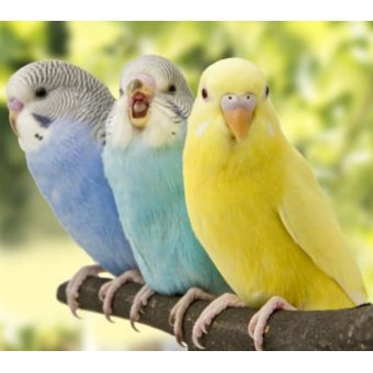 Kenneth Camilleri Won in ShopperLottery Malta