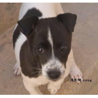 Anthony Bonnici Won in ShopperLottery Malta