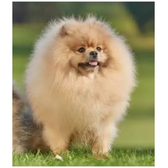 Frances Micallef Won in ShopperLottery Malta