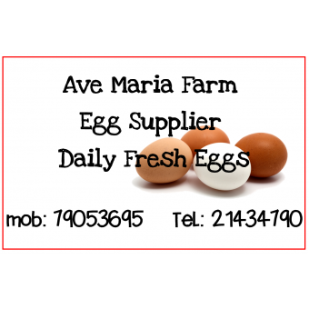 Ave Maria Farm Malta, Egg Supplier Malta