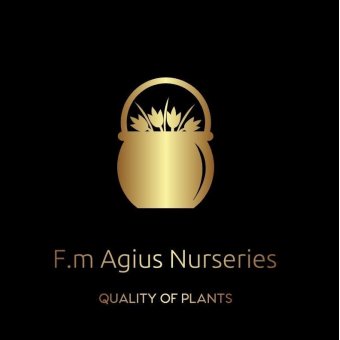 F.M Agius Nursery Malta, Garden Centres Malta